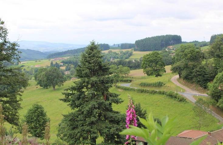 Hôtel pour 6 personnes, avec terrasse ainsi que vue et jardin, animaux acceptés dans Saint-Bonnet-le-Troncy - 2