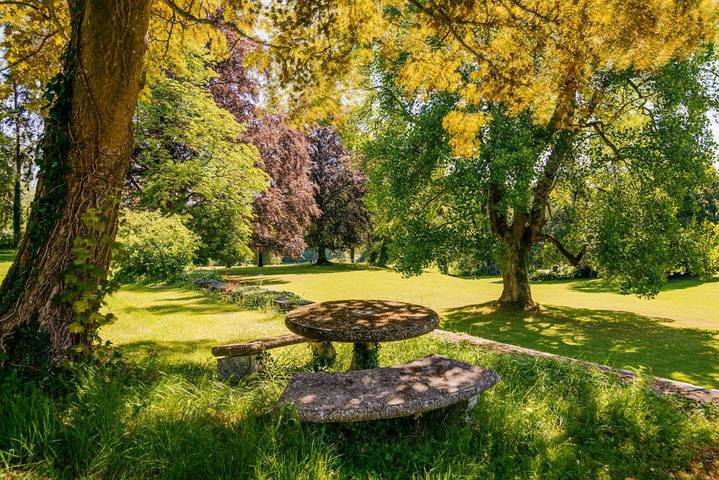 Gîte pour 35 personnes, avec terrasse ainsi que sauna et jardin, animaux acceptés à Ciney - 3