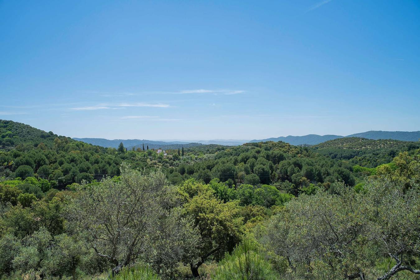 Chalet para 24 personas con piscina in Cazalla de la Sierra, Sierra Morena