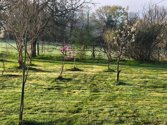 Location de vacances pour 4 personnes, avec jardin à Cléguérec - 3