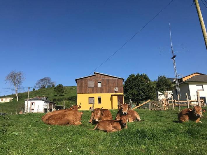 Apartamento para 8 personas, con vistas y jardín, Se admiten mascotas en Valdés