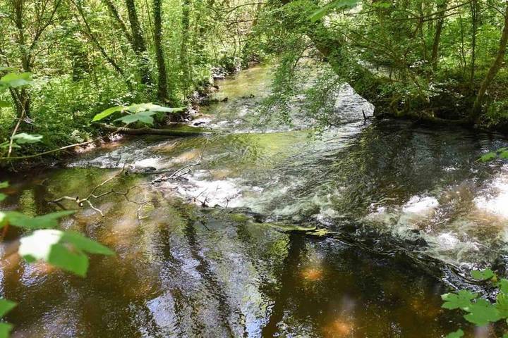 Gîte pour 4 personnes, avec terrasse à Saint-Avé - 2