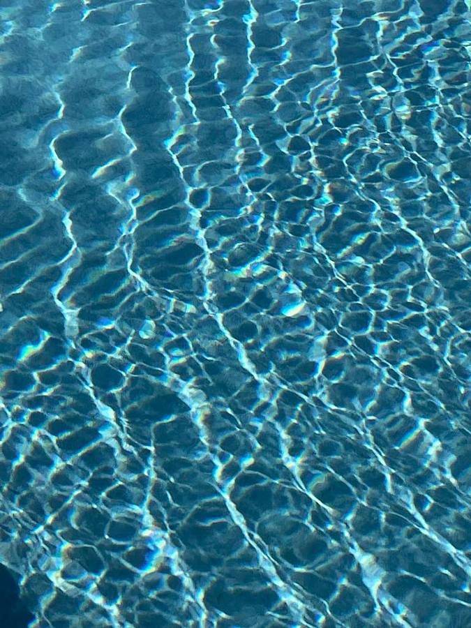 Location de vacances pour 8 personnes, avec piscine et jardin à Hesdin-l'Abbé - 4