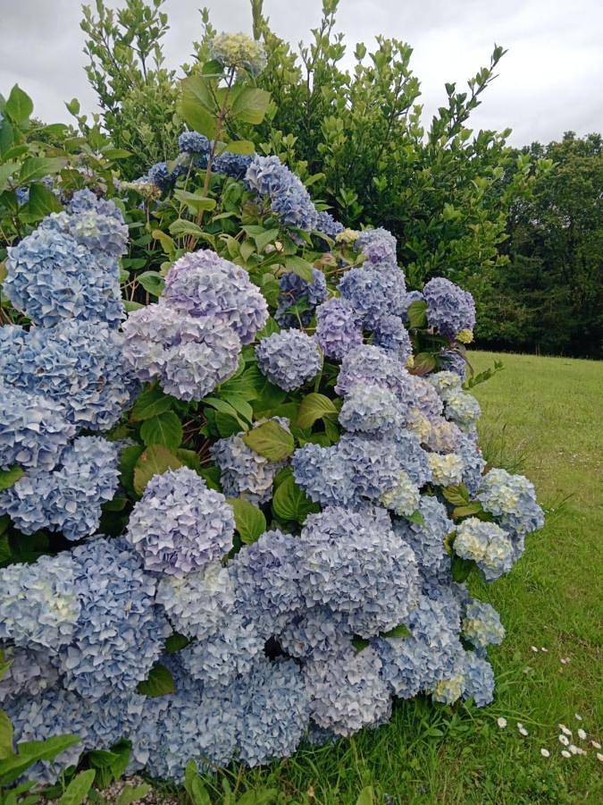Location de vacances pour 9 personnes, avec jardin à Saint-Évarzec - 3