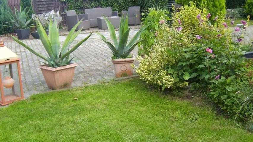 Ferienwohnung für 3 Personen, mit Terrasse und Garten in Putbus - 4