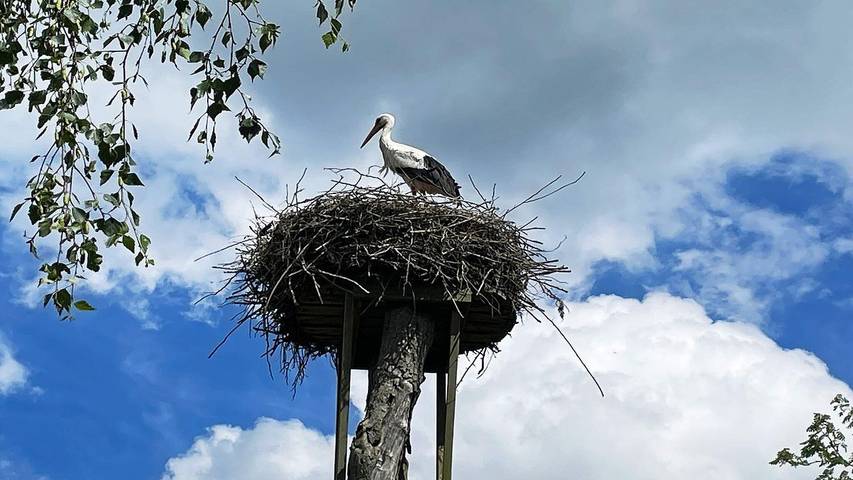 Ferienhaus für 5 Personen, mit Pool in Sjöbo und Umgebung - 2