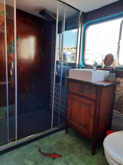 Bateau pour 5 personnes, avec terrasse ainsi que vue sur le lac et vue en Nouvelle-Aquitaine - 3