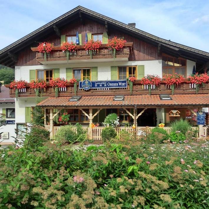 Bed & breakfast voor 2 personen, met uitzicht en terras, met huisdier - 1