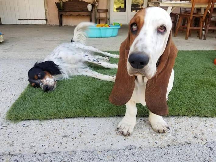 Gîte pour 4 personnes, avec vue ainsi que jardin et piscine à Marboz - 3