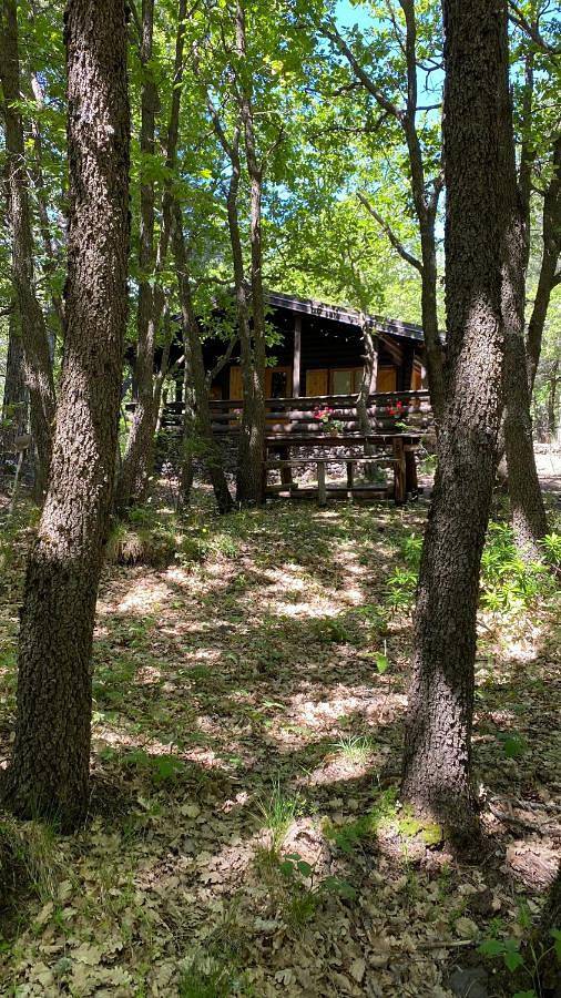 Chalet per 4 persone, con panorama e giardino, adatto a famiglie con bambini sull' Etna