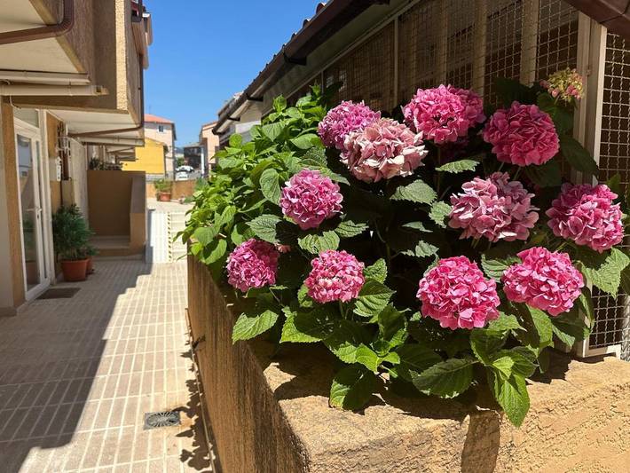 Location de vacances pour 12 personnes, avec Balcon et Terrasse à Guadarrama - 4