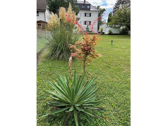Ferienhaus für 4 Personen, mit Garten und Balkon in Meersburg - 3