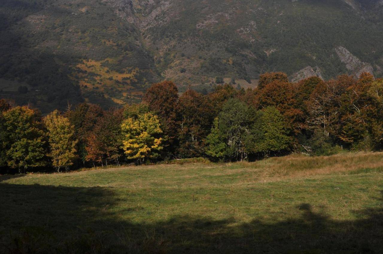 Apartamento entero, Apartamentos Rurales Casa Baltasar in Cangas del Narcea, Parque Natural de las Fuentes del Narcea, Degaña e Ibias