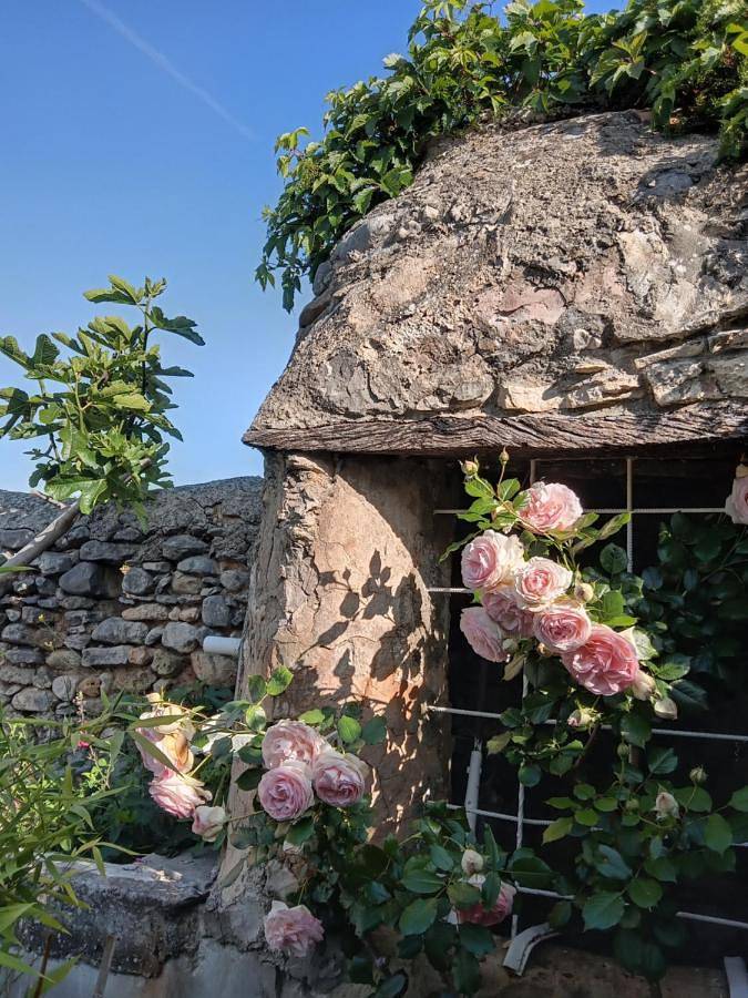 Ferienhaus für 5 Personen, mit Pool und Garten sowie Ausblick, mit Haustier in Bédoin - 3