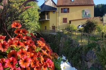 Gîte pour 4 personnes, avec jardin à Metzeral