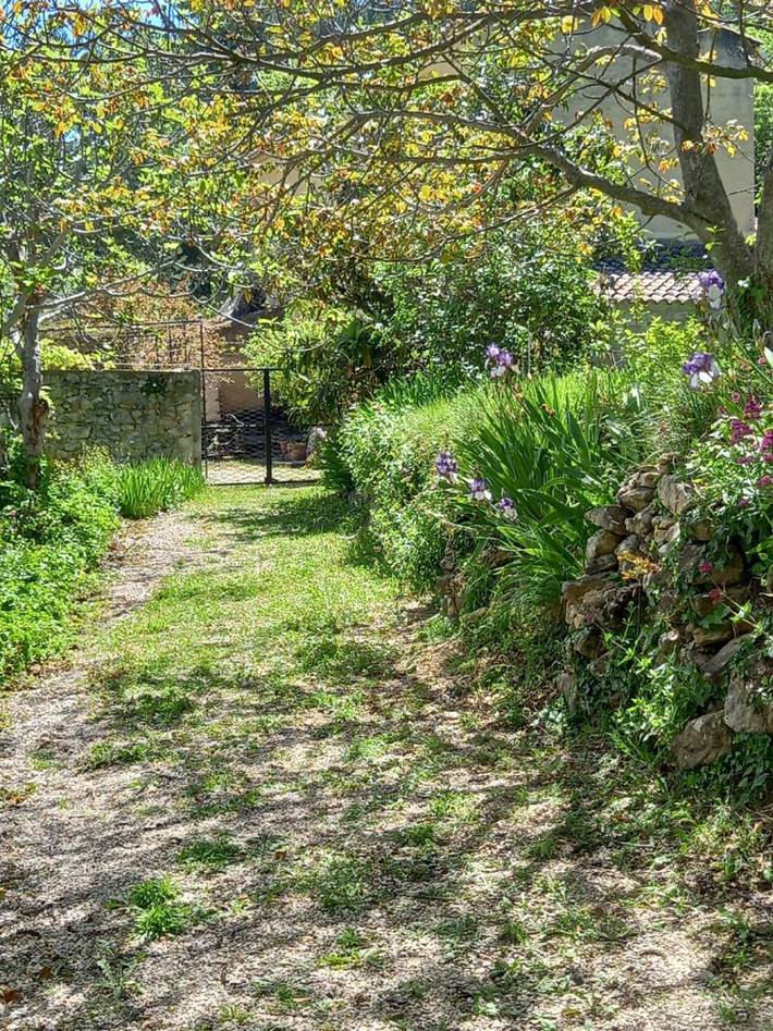Location de vacances pour 5 personnes, avec jardin et terrasse dans le Vaucluse - 4