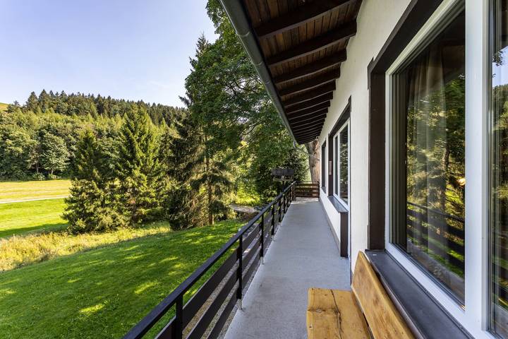 Ferienhaus für 12 Personen, mit Sauna und Garten, mit Haustier in Willingen - 2