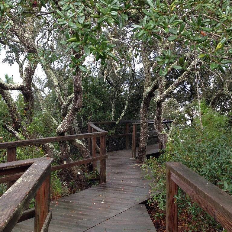 Indian Pass Fun, Private & Cosy Beach Cottage - Das Barnacle in Indian Pass, Emerald Coast