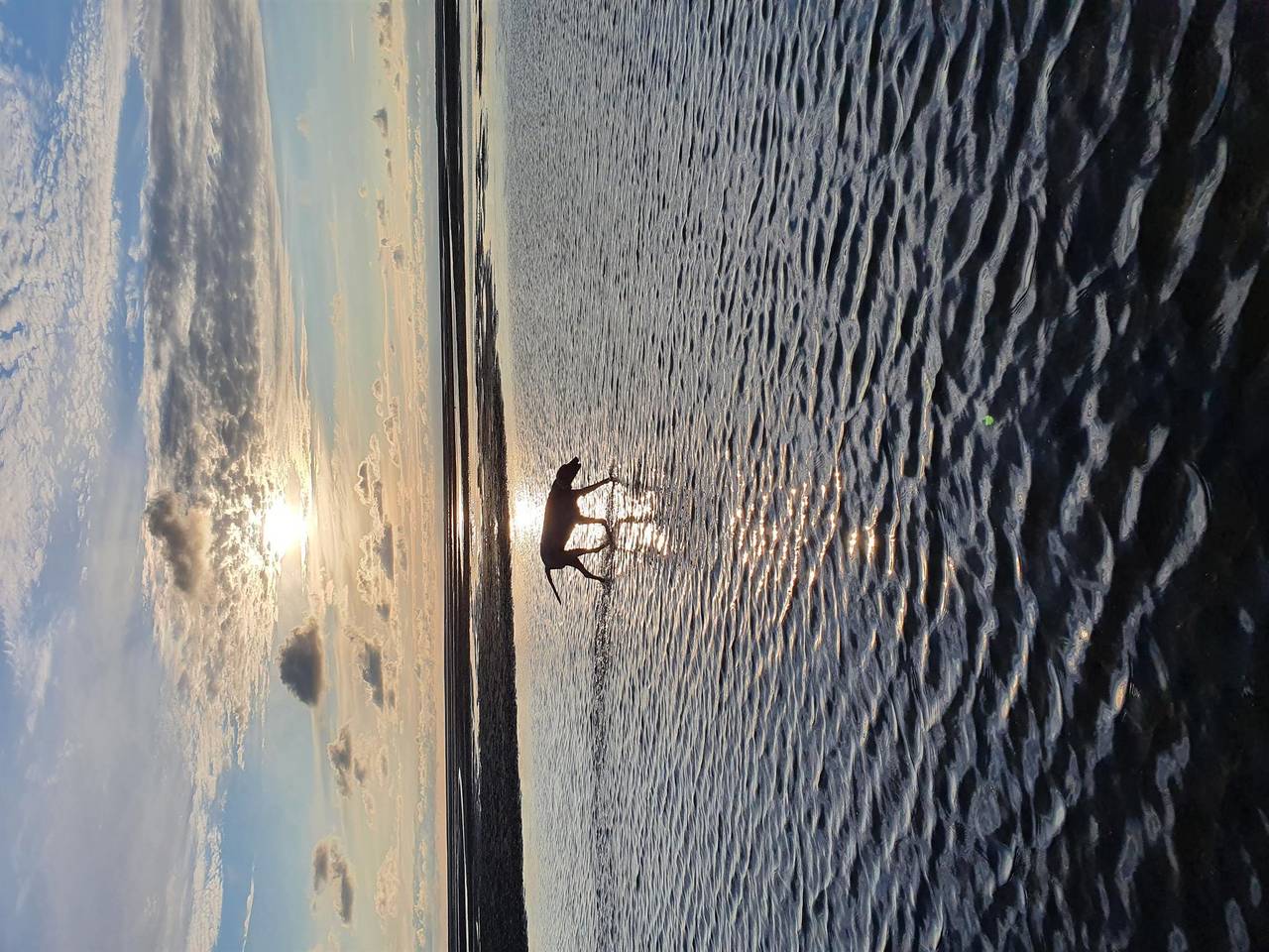 Ganze Ferienwohnung, Haus Lütt un Lütt in St. Peter-Bad, St. Peter-Ording