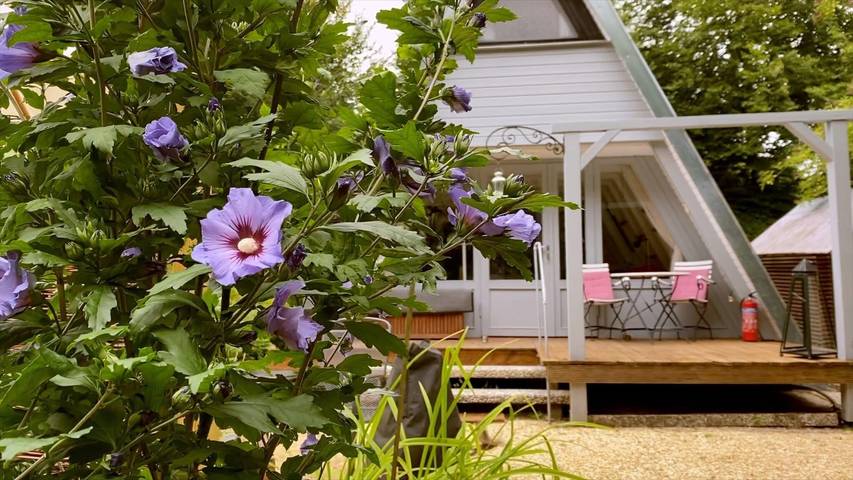 Ferienhaus für 4 Personen, mit Garten im Münsterland