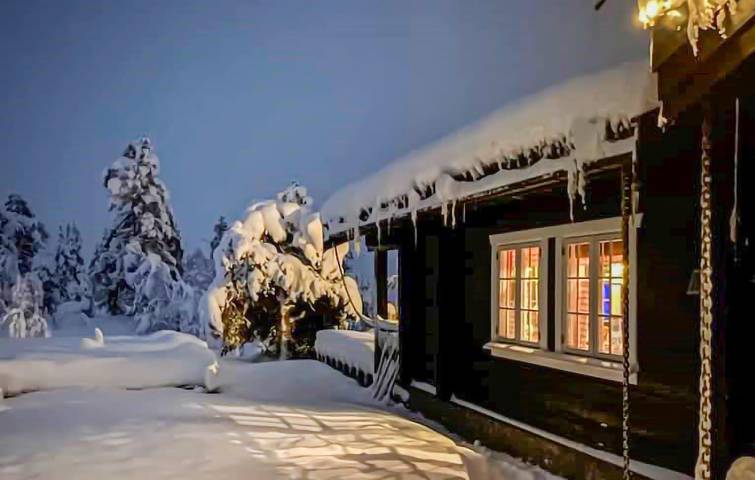 Ferienhaus für 11 Personen, mit Garten und Terrasse sowie Ausblick, mit Haustier in Ost-Norwegen - 3