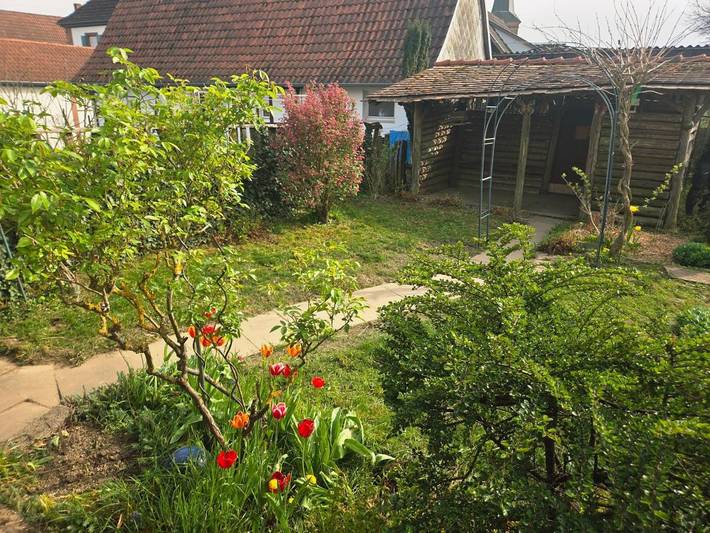 Location de vacances pour 6 personnes, avec Terrasse et Jardin à Betschdorf - 2