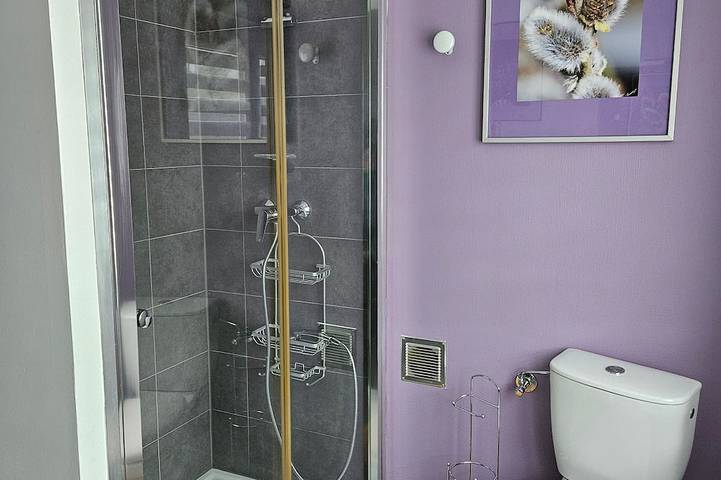 Gîte pour 4 personnes, avec balcon et jardin à Lièpvre - 4