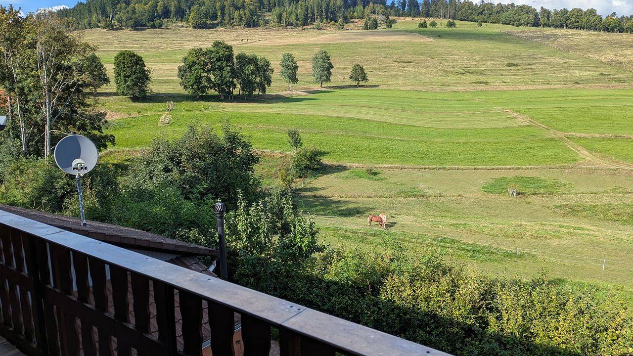 Ganze Ferienwohnung, Ferienwohnung für 4 Personen (75 m²) in Schopfheim in Schopfheim, Südschwarzwald