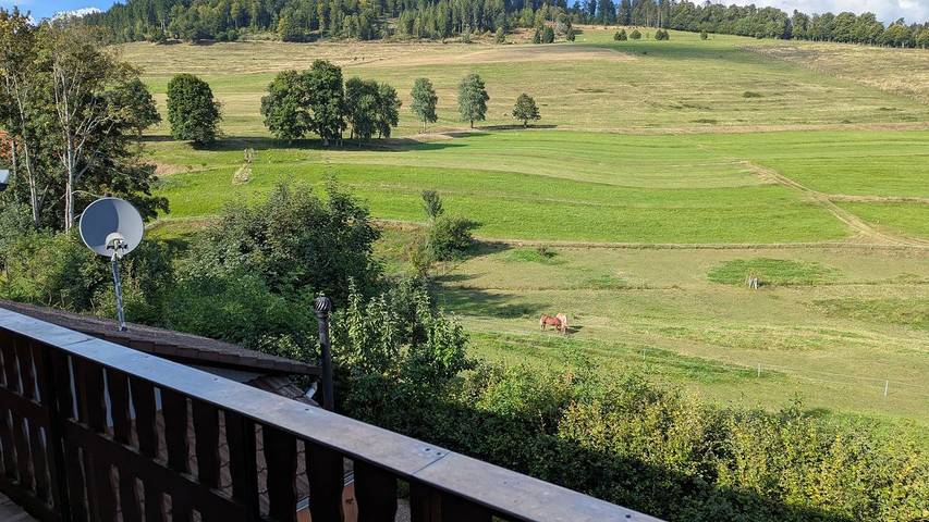 Ferienwohnung für 5 Personen, mit Garten in Schopfheim - 3