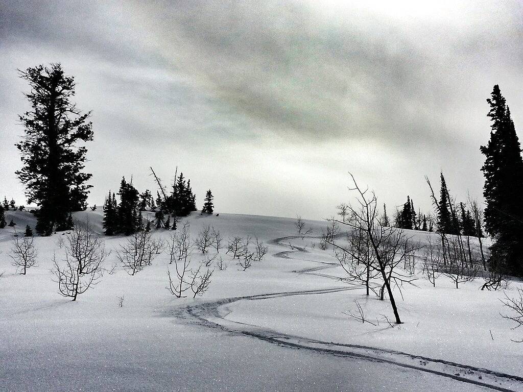 Glamping for 8 Guests in Utah, USA