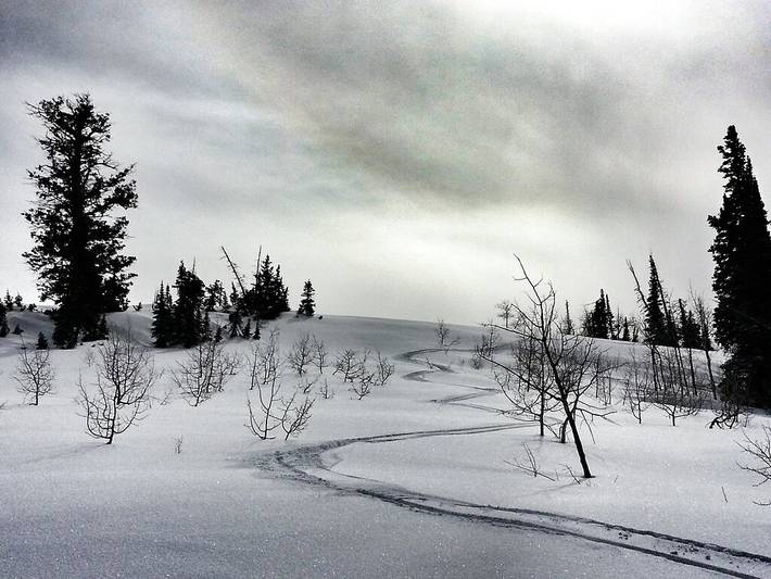 Glamping for 8 people in Utah