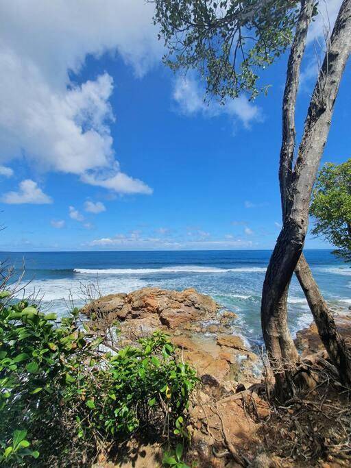 Location de vacances pour 6 personnes, avec jardin ainsi que vue et terrasse, animaux acceptés dans Anse l'Etang - 3