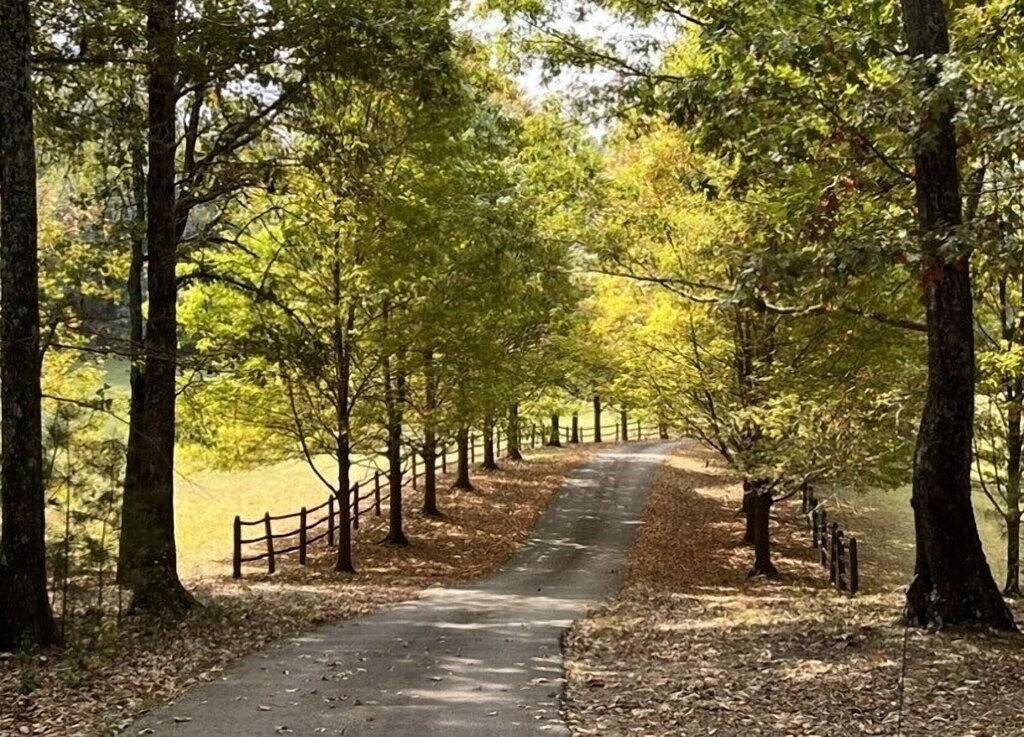 Hampton Hill - 18 Hektar großes Anwesen direkt am Wasser in Lake Lanier