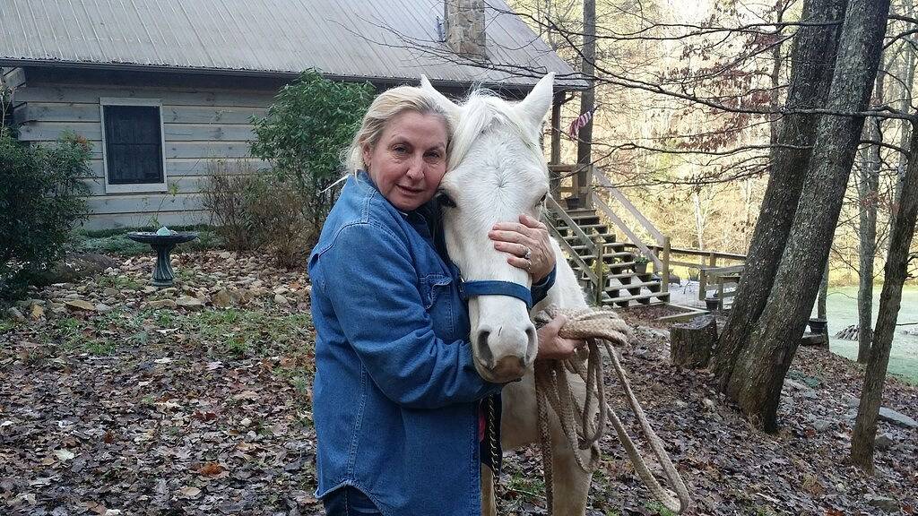 T-Lea Farm Ihre 73 Acre Horse Farm Vaction Retreat in Ost-Tennessee in Monroe County (TN)