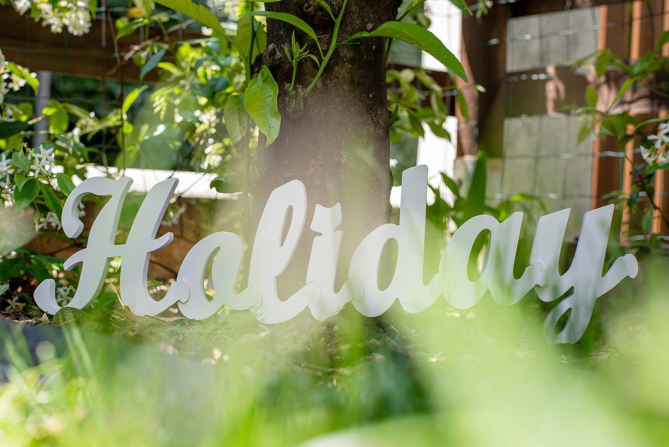 Ganze Wohnung, Green House in Arenzano, Riviera di Ponente