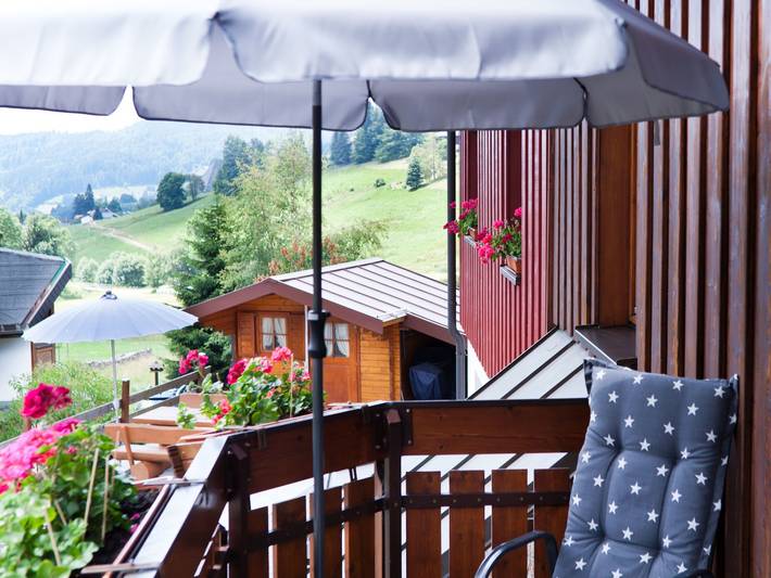 Ganze Wohnung, Ferienwohnung '3 Kapelle' mit Bergblick, Gemeinschaftsterrasse und Wi-Fi in Todtnauberg (Todtnau), Todtnau