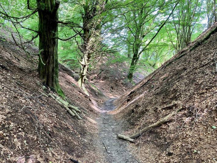 Ferienhaus für 6 Personen, mit Terrasse und Sauna sowie Whirlpool, mit Haustier in Tranum Strand - 4