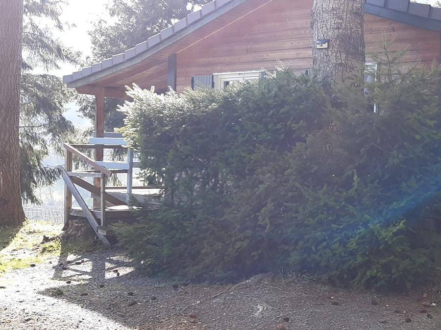 Flower Camping Le Belvédère - Chalet 5 personnes - Confort - Truyère in Neuvéglise, Région de Saint-Flour