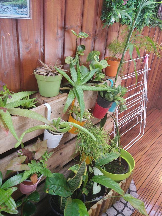 Location de vacances pour 2 personnes, avec vue dans Cité du Volcan - 2