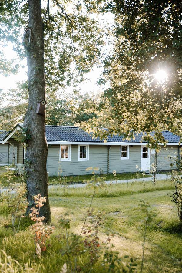 Family Bungalow in Haren, Groningen und Umgebung