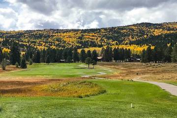 Log Cabin for 13 Guests in Angel Fire, Colfax County, Picture 3