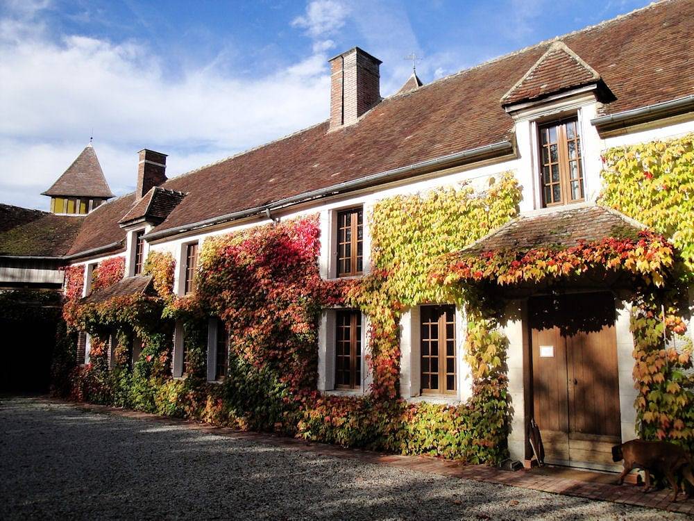 La Bichonnière - Chambre Le Chevreuil in Lindry, Région d'Auxerre