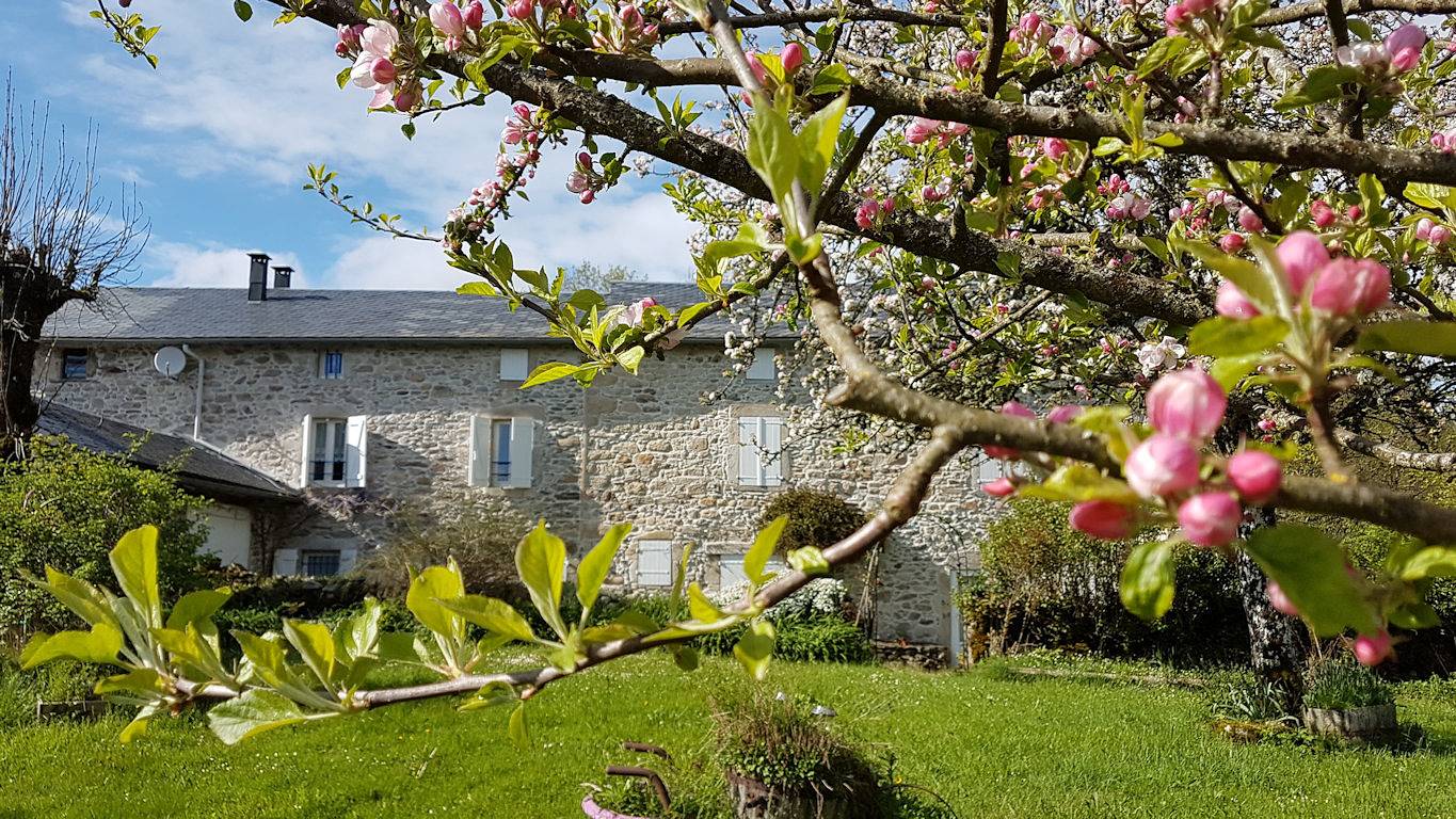 Gîte nature Pieffarat in Anglès (Tarn), Région de Castres