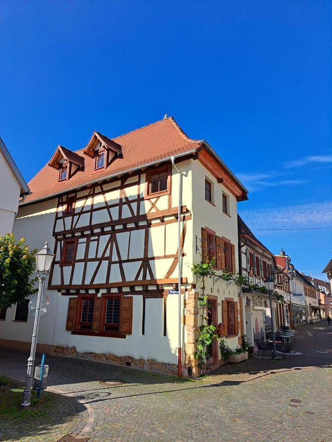 Gästehaus Merlin mit Saunabereich in Bad Bergzabern, Landkreis Südliche Weinstraße