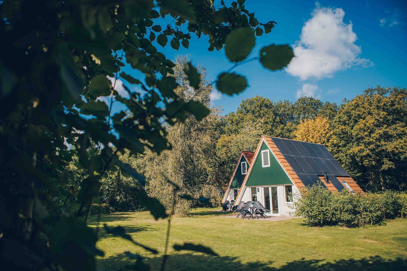 't Hooge Holt — Familienhaus im Waldgebiet | Für 10 Personen in Gramsbergen, Hardenberg