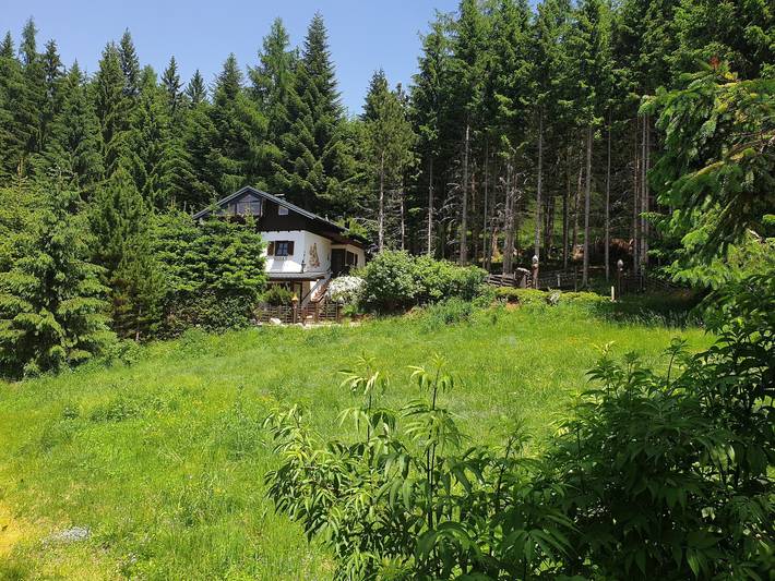 Ferienhaus für 15 Personen, mit Sauna und Balkon sowie Garten, mit Haustier in Kärnten - 2