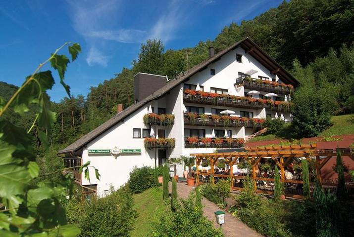 Hotel, mit Terrasse und Pool sowie Sauna in Erfweiler - 2