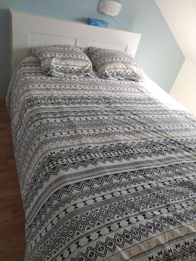 Gîte pour 2 personnes, avec terrasse ainsi que jardin et vue à Channay-sur-Lathan - 4