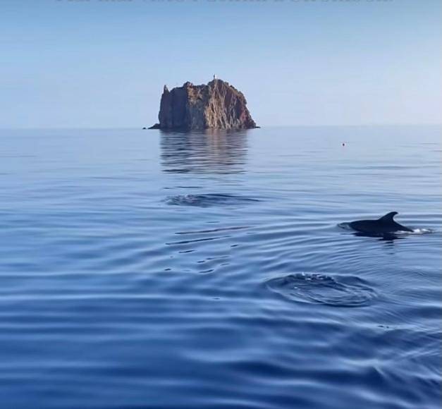 Chambre d’hôte pour 2 personnes, avec jardin et vue dans Stromboli - 3