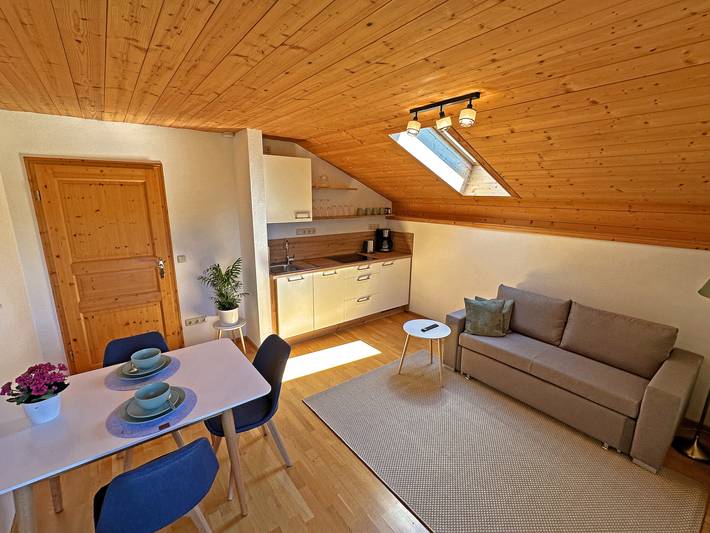 Ganze Ferienwohnung, Ferienwohnung Göttersberg - Ferienwohnung Göttersberg 38 qm, separates Schlafzimmer, Wohnraum mit offener Küche und West-Balkon in Aschau im Chiemgau, Chiemsee